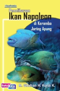Image of pemeliharaan ikan napoleon