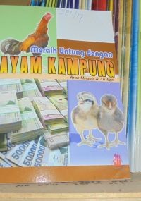 Image of meraih untung dengan ayam kampung