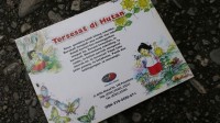 Image of Tersesat di Hutan