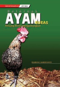 Image of Beternak Ayam Buras, Peluang Bisnis Menguntungkan