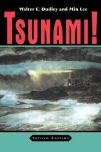 Image of Tsunami!