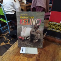 Image of Beternak kelinci